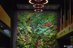 沖縄の映画館
