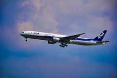 ANA飛行機 ウミカジテラスにて