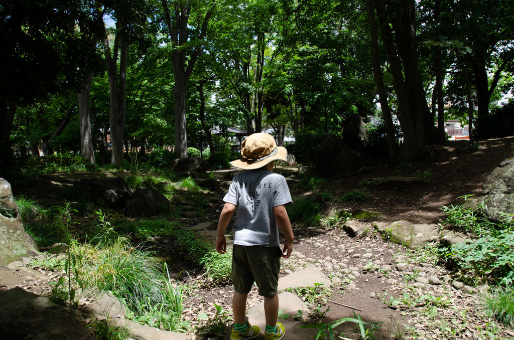 夏の公園  -南流山中央公園