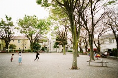 2019桜