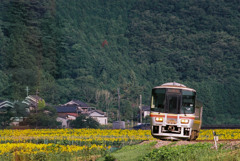 姫新線・佐用町宝蔵寺地区