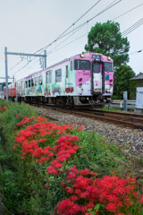 さよなら鉱石の道ラッピング