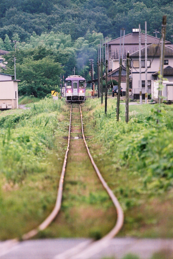 梅雨の合間に　2