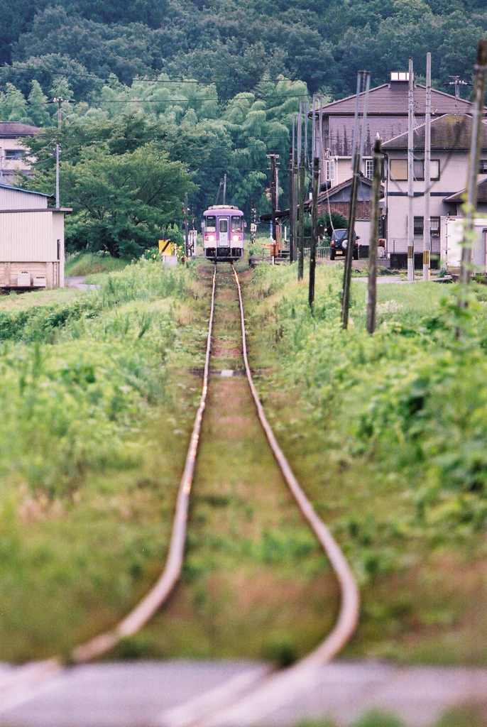 梅雨の合間に　1