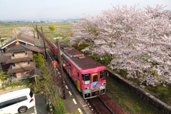 満開