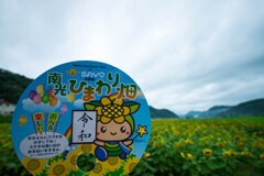 南光ひまわり畑・K-3編