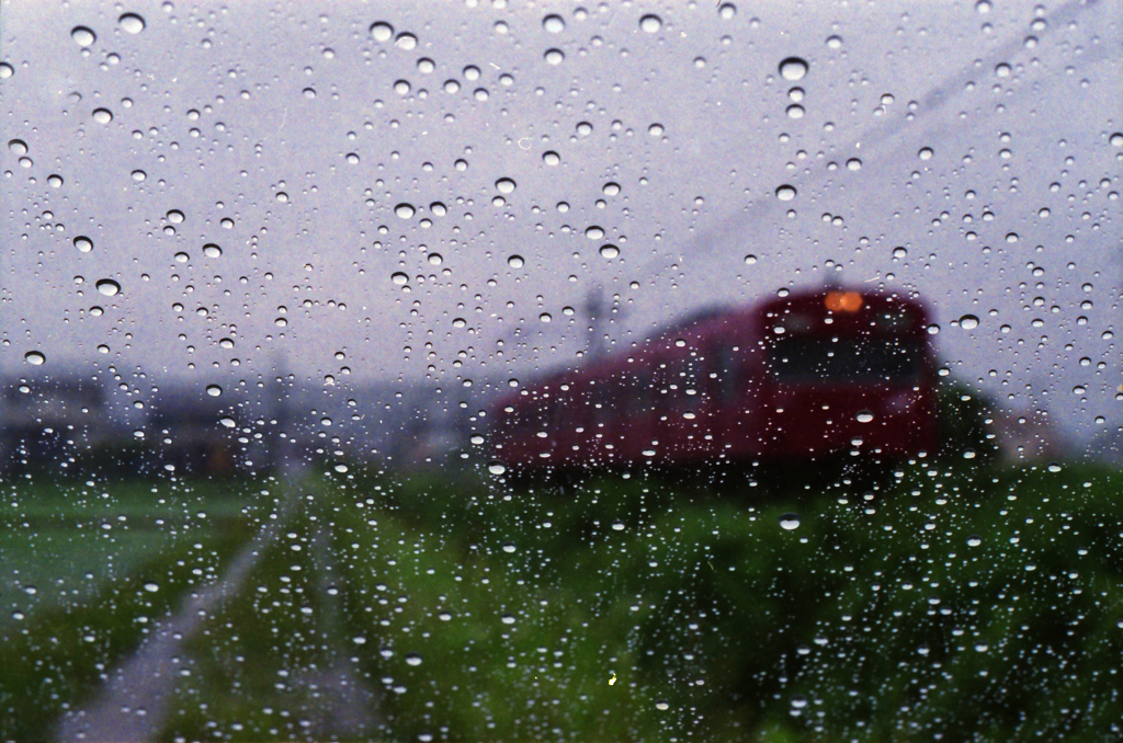雨はしょうがない