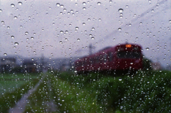 雨はしょうがない