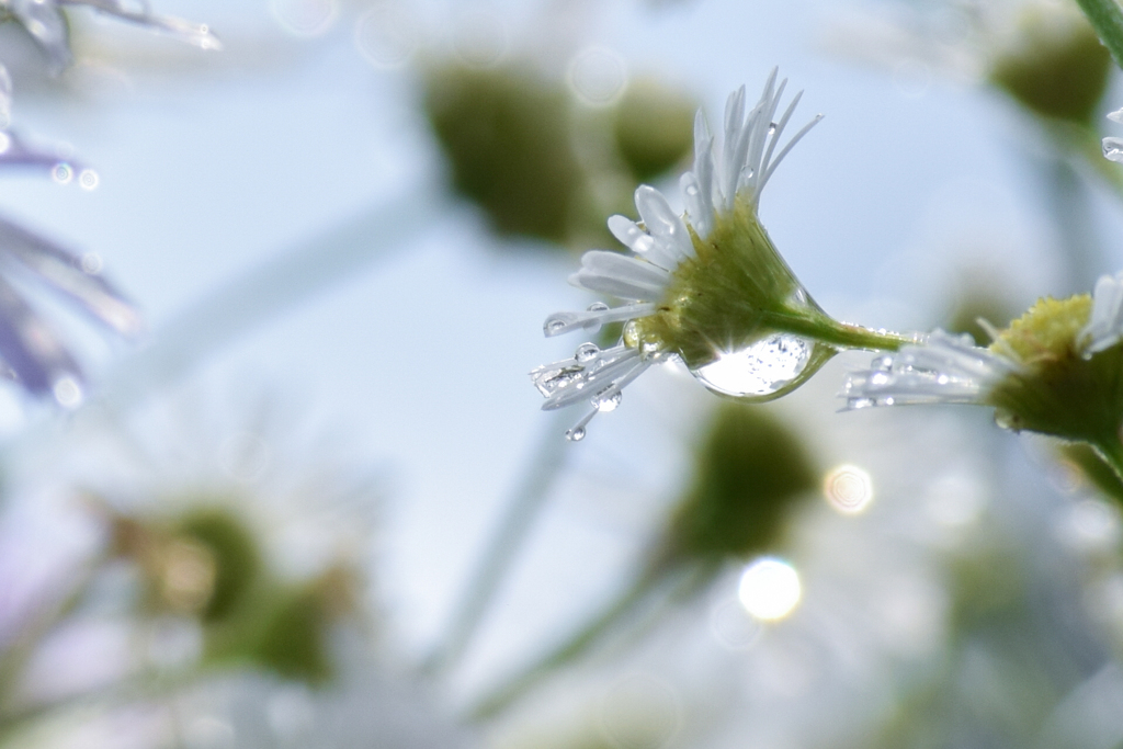 雨上がり