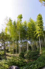 2012秋2