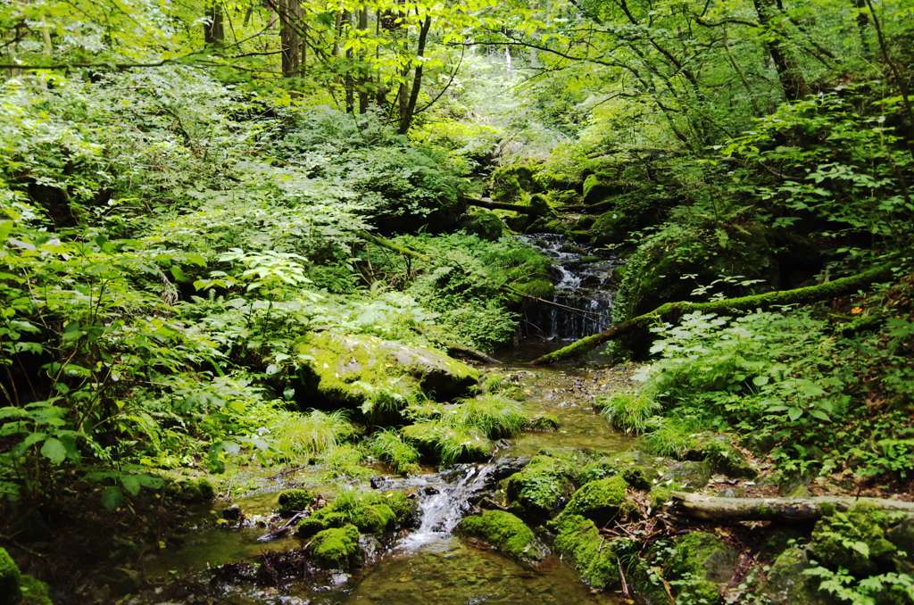 御岳山・Green Garden