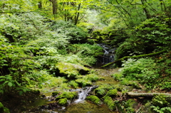 御岳山・Green Garden