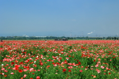 花園