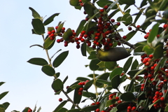 おいしいですか？