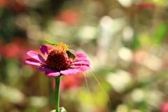 見えていますよ