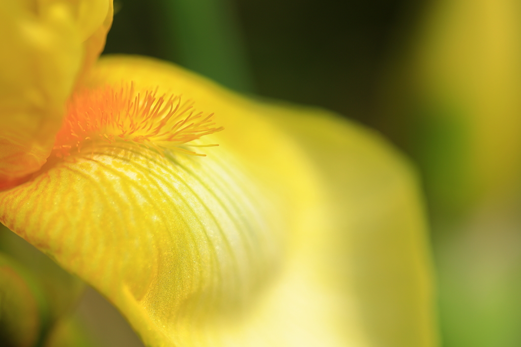 恋のメッセージ