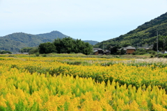 過疎化した田園