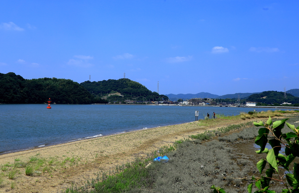カブトガニ生殖の地