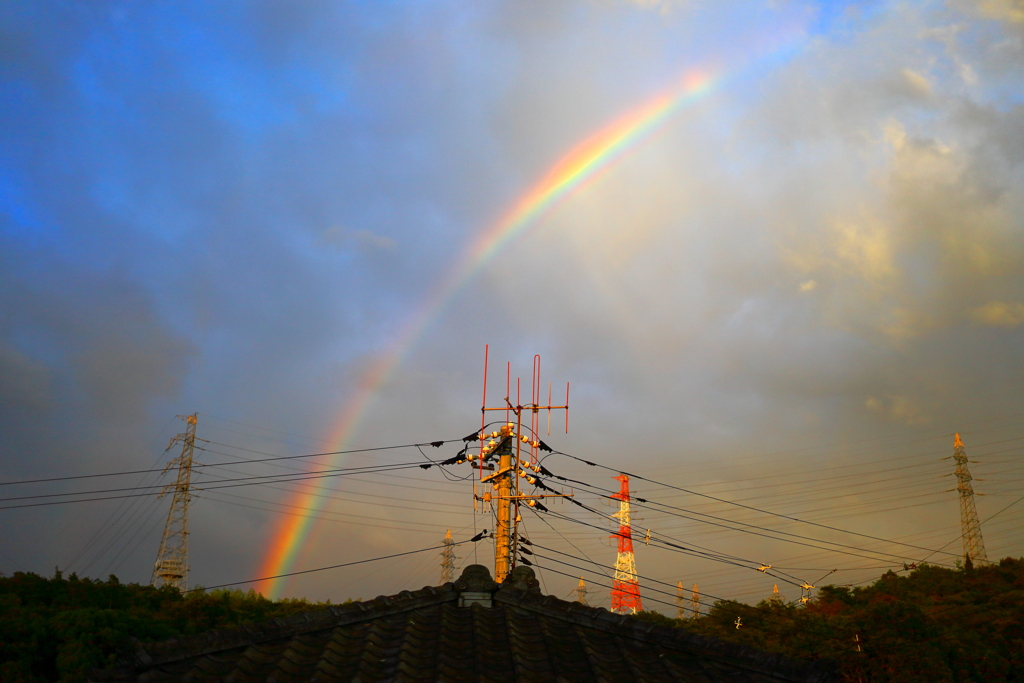 願いが叶いますように