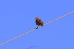 早く撮ってよ