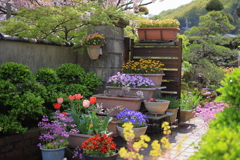 春の庭