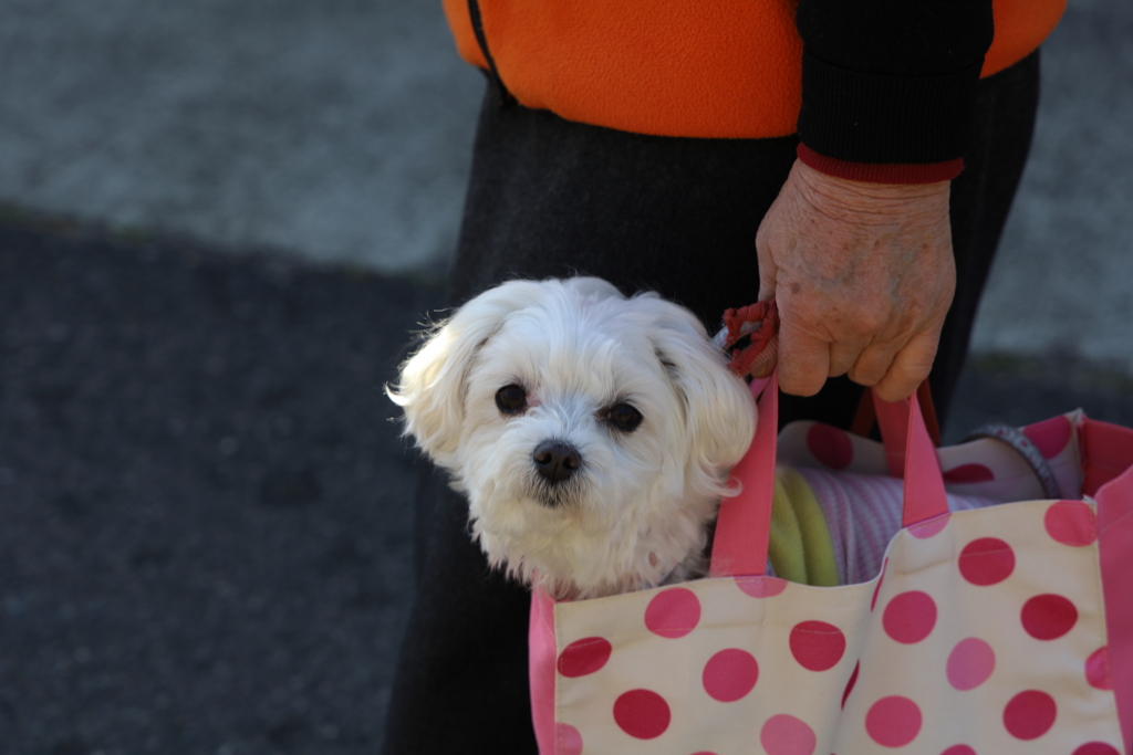 早く元気になってね！