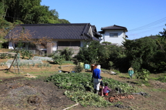 自然を学ぶ