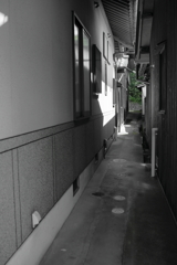 裏道