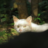 モコこんにちは