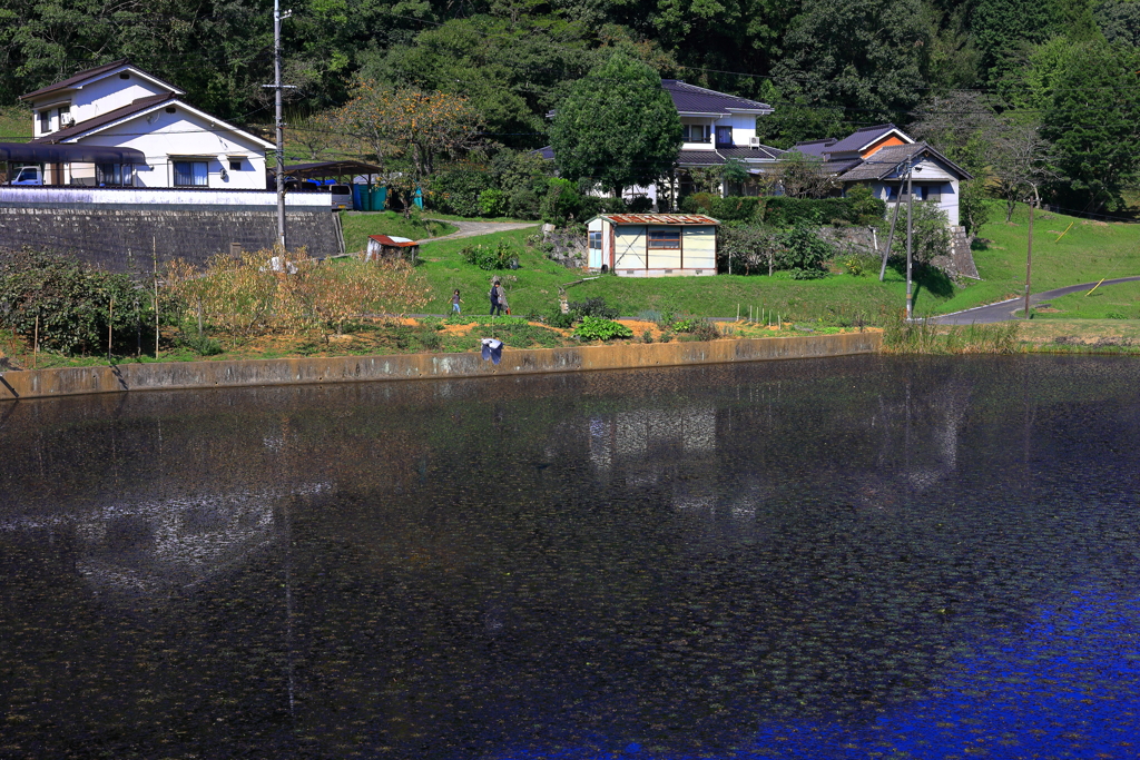 ふるさと