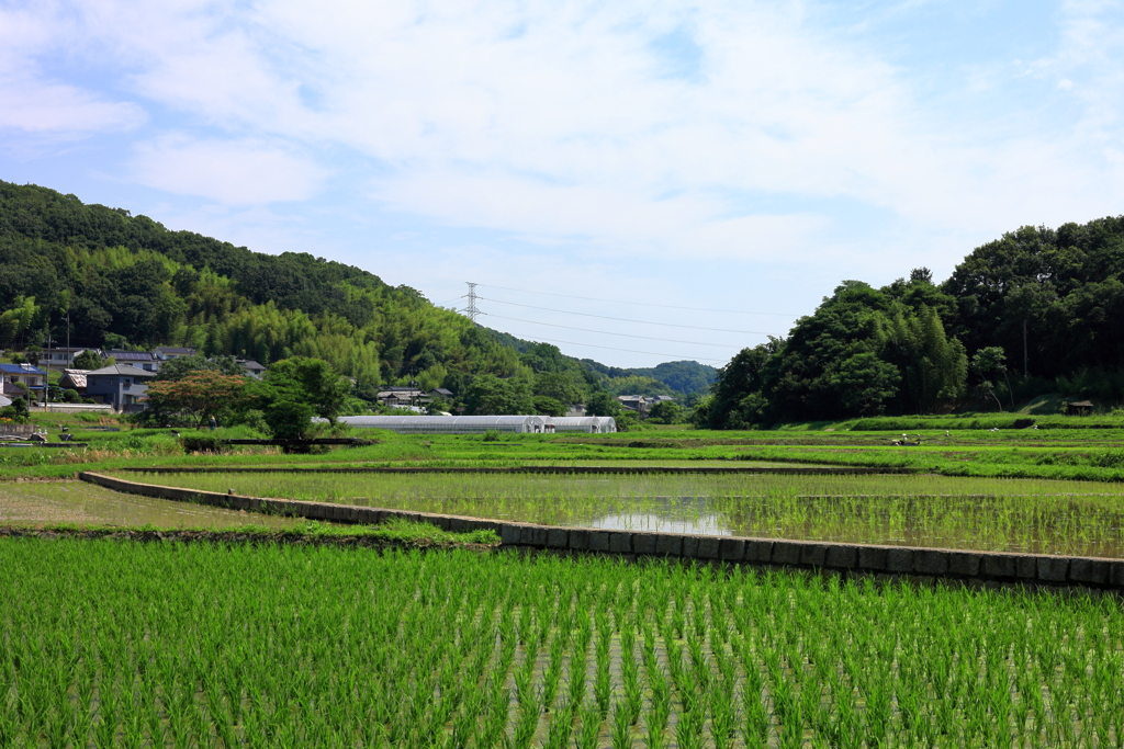 お疲れ様です