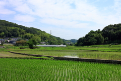 お疲れ様です