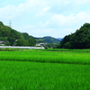 ふるさと