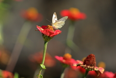 深まる秋なのに