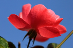 青空に