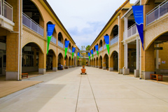 LRM_EXPORT_1268740397857183_20190713_181
