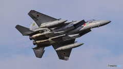 百里基地航空祭２０２３　３０６SQ　 F-15J 　