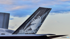 F-35A 301SQ 50th Anniversary 