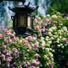 薔薇の壁