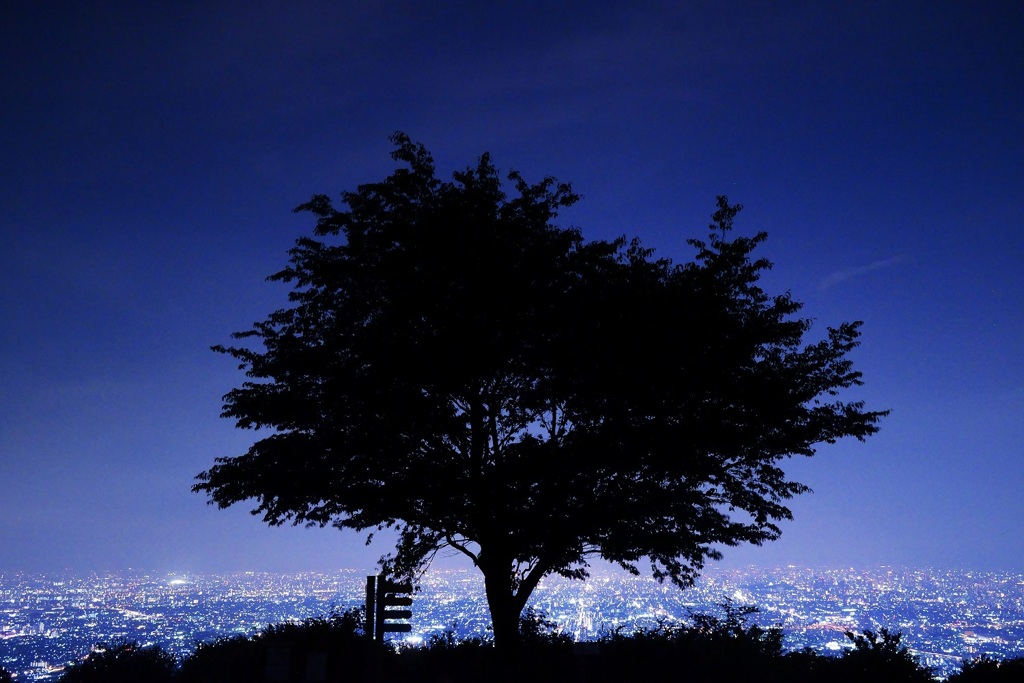 大阪の夜景