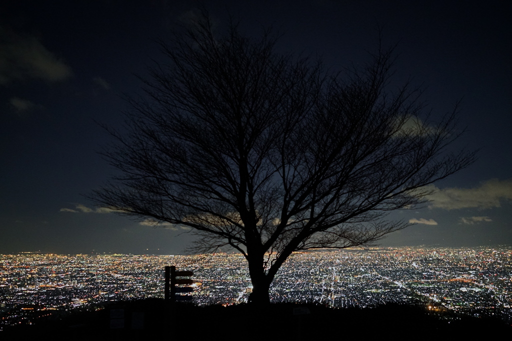 大阪の夜景