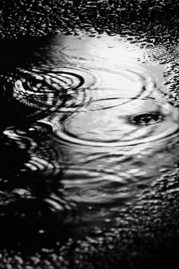 雨