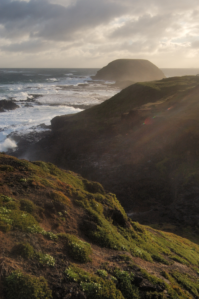 Phillip Island