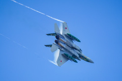 アグレッサーその6
