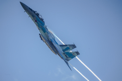 アグレッサーその3