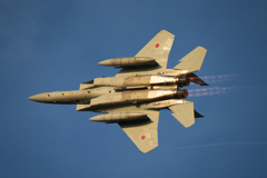 F-15その22