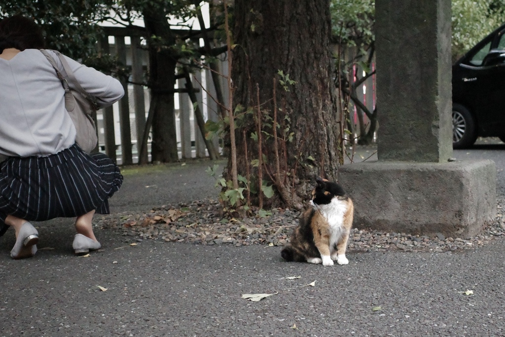 入りたいな