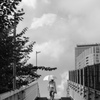 あの夏、あの橋で。