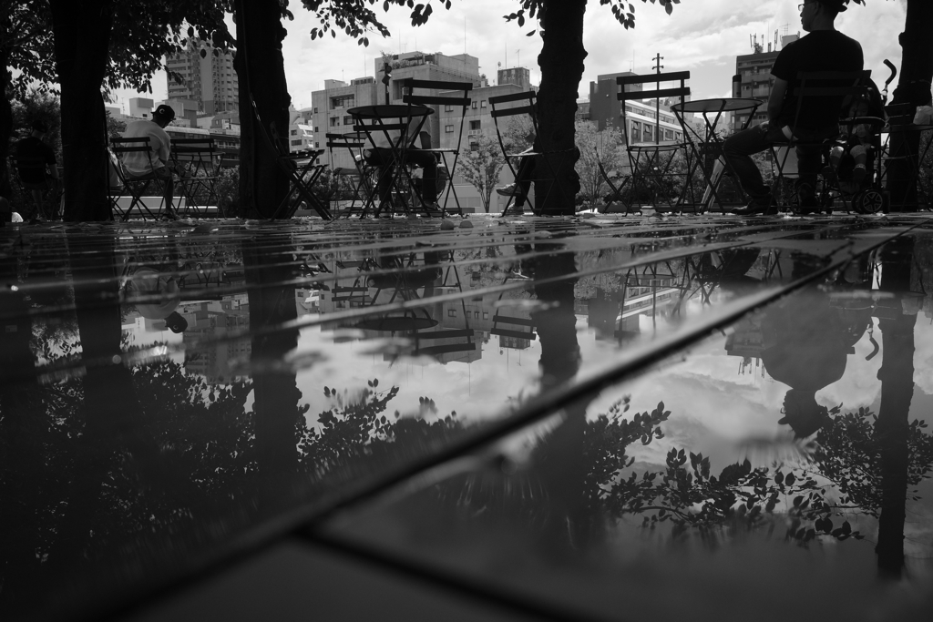雨の後、艶っぽい空気が身にまとう
