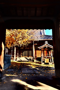 JYOGENJI TEMPLE